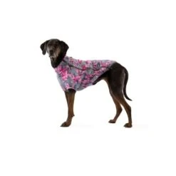 Ruffwear Climate Changer™ Fleece-Jacke Für Hunde Andere M 10 Ruffwear Climate Changer™ Fleece-Jacke Für Hunde Andere M -Hundebedarf Geschäft 86e7c61fbb59c42e6a9952c35792683bfe925ee1 1369650 de DE 0f7eaefedef9dc647cc2252d60c10845d7c68c4e7jOb8s