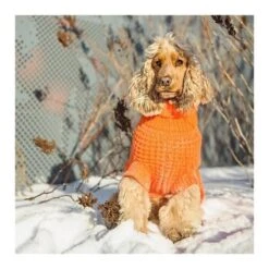 GF Pet Scout Pullover Orange XXXS -Hundebedarf Geschäft 87d75cde4cab2d8cdf2692549386f0e200d51d03 3daf3b6566c5781ec3af7193979fd9f7fe520d5b