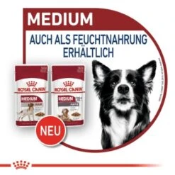 ROYAL CANIN MEDIUM Adult 10x140g -Hundebedarf Geschäft 89d972ad7b4e2530c6050fa10b41681c85a66fa8 9003579008362 8