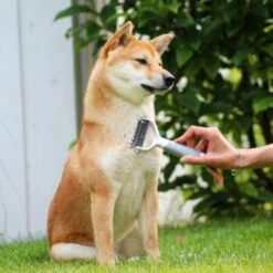 Schlitzohr Unterfellbürste Cookie 14 Schlitzohr Unterfellbürste Cookie -Hundebedarf Geschäft 8a282a966ab4bc47cbd028495077fe9505bb8eff 1484683 de DE f9a0182d0c3e6b7b158dd177c8fb6ca9048996c68U5RR2