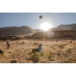 Ruffwear Hover Craft™ Spielzeug Orange 16 Ruffwear Hover Craft™ Spielzeug Orange -Hundebedarf Geschäft 8b74389fdbc592fa493fa8449b24cad477f71e65 1364297 de DE d7bfcddc5967d79946d8e13f648d6053d56005c9XiBl8J