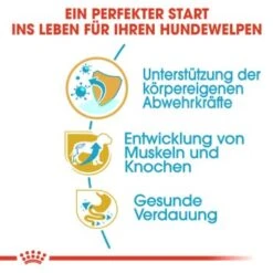 ROYAL CANIN Rottweiler Puppy 12 Kg -Hundebedarf Geschäft 8d21dda75d70b891262dc643821c279db43214b5 cec9e43c5fe78fcc413f4b92efb9158d947af728