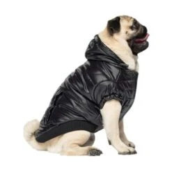 Canada Pooch Glänzende Pufferweste XXS 7 Canada Pooch Glänzende Pufferweste XXS -Hundebedarf Geschäft 8ec11177ec9f86d200ff22bc3e0c234ecff91e7e dfb5b396c833a1ace7625fc5796632bee13eda68