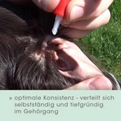 CdVet Ohrenpflege 20ml -Hundebedarf Geschäft 914c8f628437ae3730ae100e9d830fde4110d2fa 1033310 de DE 4b4360f1b0792ee01691f9782dbac9d472f73d96hA4rB6
