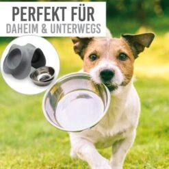 KaraLuna Napfunterlage Mit 4 Näpfen Grau 0,2 Cm³ -Hundebedarf Geschäft 91edc8a5264495986632e85e519ea0d6174baf34 1407482 de DE 86ec41c9cd718785d561e9ab479b800f47302bf9415Rf7