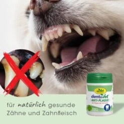 DentaVet Anti-Plaque -Hundebedarf Geschäft 930f9318d5c211bcb06b98400e0d70741ee546d1 1663012 de DE 53394b8e93fca183b5ce802502d2065b0648877dMkYpya