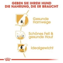 ROYAL CANIN Bichon Frisé Adult 1,5 Kg -Hundebedarf Geschäft 9360ef399dd7991f4138416a3168c1b58cc56899 7f2fbf0f9eb0dedb42b1d34e34eb41ac36d13a97