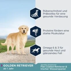 EUKANUBA Breed Specific Golden Retriever 12 Kg 8 EUKANUBA Breed Specific Golden Retriever 12 Kg -Hundebedarf Geschäft 93835751c2540e664fdb559735421479521b3a8c 4a6f1ea9cd1f2216ab5b192d19420793b787e2e0