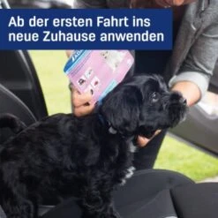 ADAPTIL Junior Halsband Anti Stress Erziehungshalsband -Hundebedarf Geschäft 94e17f7b408278dd9617aa06170823be349c6ba0 1287044 3