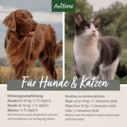 Aniforte Indische Flohsamen 1kg -Hundebedarf Geschäft 9563ee42098cd0f28c17bf140caef7962aadb9cf 1332845 de DE 3dcddf4d122d51a6dbaac2ef378e46b41dae8049YgcdV5