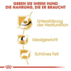 ROYAL CANIN Cavalier King Charles Adult 7,5 Kg -Hundebedarf Geschäft 95fa9fcae4a6cca021f8ac33047c5368cad59e01 1052726 de DE rc 2