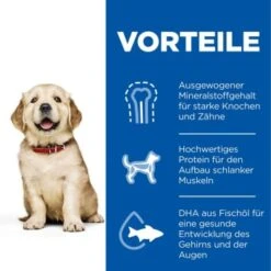 Hill's Science Plan Puppy Large Breed 16 Kg -Hundebedarf Geschäft 96858085f1bc3cabf1fc66738fe77472be488f76 52742026084 4