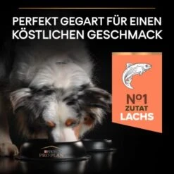 PRO PLAN Optiderma Medium Adult Sensitive Skin 14 Kg -Hundebedarf Geschäft 975c3c1eaa0ff309e6a4f4d9d25b97d74ad7910e 1206429 3