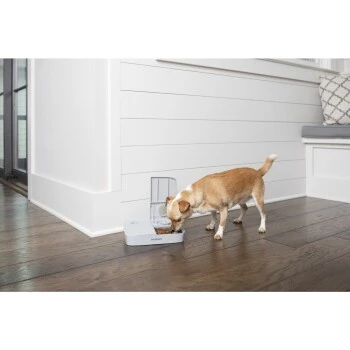 PetSafe Futterautomat Für 2 Mahlzeiten 4 PetSafe Futterautomat Für 2 Mahlzeiten – Bild 4