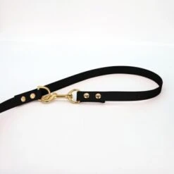 THE DOG IDEA Biothane Hundeleine Gold Schwarz -Hundebedarf Geschäft 9939842b49b014dcd08b66900dd9e5fdaa668fba 1655416 de DE 1785c105e6c4bec8ca1c905b49a6a2332dc4134epf8BNK