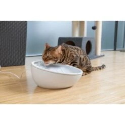 AniOne Keramik-Trinkbrunnen Waterfall Weiß Ohne Ersatzfilter -Hundebedarf Geschäft 9ab78e65ebaf72b76c537cd735c5a7cd6cd4d027 a897eca6393f48ff54c98954a2b189a96196cfbd