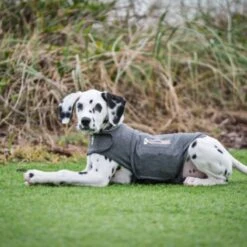 Thundershirt Beruhigungsweste Grau XS 17 Thundershirt Beruhigungsweste Grau XS -Hundebedarf Geschäft 9b6b99fb9c0e02a64cc609b7ca852c71d17d0d84 1102942 2