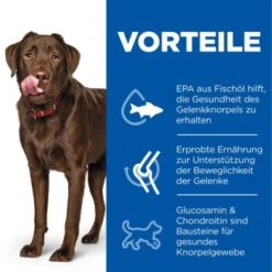 Hill's Science Plan Healthy Mobility Large Breed Adult 1+ Mit Huhn 14 Kg 9 Hill's Science Plan Healthy Mobility Large Breed Adult 1+ Mit Huhn 14 Kg -Hundebedarf Geschäft 9e8905fa913b1b9fe4d774fbfdfb66c9ce3ad66e 52742026015 4