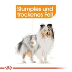ROYAL CANIN Coat Care Mini 8 Kg -Hundebedarf Geschäft a015616ba7b0f09bb3635d2f92ec42b058c3bf94 9cc4a6a599d5c6fa50944a6ff8326d322ab5e6f2