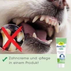 DentaVet Gel 35g -Hundebedarf Geschäft a0d4d3bd9437af6bafea1b3b7a3c5a28814220c7 1249039 de DE 4ce29d2ba67554731965330067a7d46dd701a488pV84j2