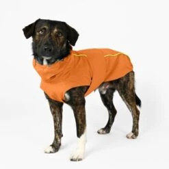 THE DOG IDEA Regenmantel Duke Orange XXXS 10 THE DOG IDEA Regenmantel Duke Orange XXXS -Hundebedarf Geschäft a1af009970fbe0d49b23b55aae3478442e9eb5e6 1473000 de DE e975935bd14ae10e3cbf4709cc9d05a6879844e2TUSiIw