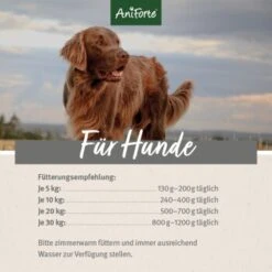 Aniforte FarmsLamb Lamm Mit Kürbis 2,4 Kg -Hundebedarf Geschäft a2fbebd25601192e48d256e6ad1d961138f524b6 1422184 de DE ecf8c646fa9f7a73ce2de360e52f7434941d6424D7dkpY