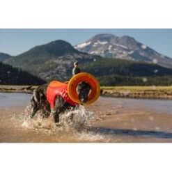 Ruffwear Hydro Plane™ Spielzeug M Orange -Hundebedarf Geschäft a3976cd8510df92d7b86f42c35fd984bc0313421 1364300 de DE 7e1ea9adae25d55e79a8aed2cc6dc797ac8d0d03R1qvUL