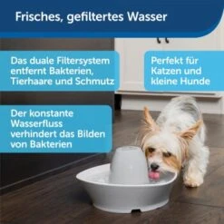 PetSafe Trinkbrunnen Streamside -Hundebedarf Geschäft a4863bb01c9defc206f3abadb7407b11767619bd 1423698 de DE d7c376710365041814bb26a7ca9d55a6a9011fd8Nm0GoI