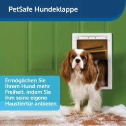 PetSafe Haustierklappe Für Extremes Wetter S -Hundebedarf Geschäft a6418c2f84c3e14467d7c91992b367da97c80c68 1279434 de DE fb7da59b7a5bf84ad58e13f5dc3d9cc04f4fa864u7H7aK