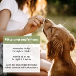 Aniforte Hanfkekse 200g 7 Aniforte Hanfkekse 200g -Hundebedarf Geschäft a7e0572484f9fe6ba37a77d6bd5bc40268a74abe 1480470 de DE 46ac5b30e7ecb574f59967b071dd7bc14252b77dI4cyvf