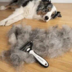 KaraLuna Unterfellbürste -Hundebedarf Geschäft a7f89992854b7f274ec4aefce65a9a0c3bed6611 1407475 de DE bdacd808ffd25106dc0030189e088a48f660e6387lmoXE