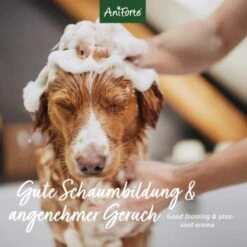 Aniforte Neemöl Shampoo 500ml -Hundebedarf Geschäft a90db96b15d0ad967d6afda850e88c91807f656a 1429322 de DE 5924405aa7a22e967313eca5b199c19808b03d56WFJfRI