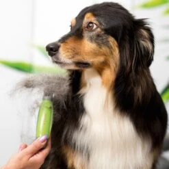 Moser Unterwollrechen -Hundebedarf Geschäft a9457afef8cc9854b1cc05428060e6aca1aa62d7 f209ef3f70da272484eca7394d5156f09925de7d