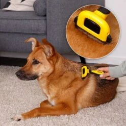 Lionto Haustierbürste, Zupfbürste -Hundebedarf Geschäft a99a14a7250fd4e501ec529126934f0a8e973480 1665908 de DE 47ac745e0253c5bc3fba7e69b1681c237a8f3a97orElkU