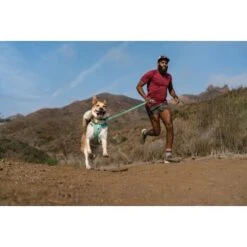 Ruffwear Hi & Light™ Leine Grün 20 Ruffwear Hi & Light™ Leine Grün -Hundebedarf Geschäft a9bb9c540656b7aa8771909ef98b6c75c25b9109 1651449 de DE e1f513ccb316fd4c3d8ab244f2741d98d771b1dc3aPDlo