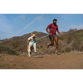 Ruffwear Hi & Light™ Leine Grün 10 Ruffwear Hi & Light™ Leine Grün – Bild 10