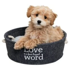 Trixie Liegeplatz Lian S