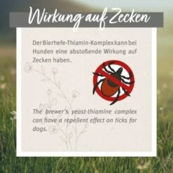 Aniforte Zecken Schild (35 Bis 50kg) Für Große Hunde 60 Kapseln -Hundebedarf Geschäft ad2de8fc0b4c8ddf396130dcf73c32c9c0c892f7 1444358 de DE 6700813aa03bffd9cf2beb8a7d73b7965a418ce5MKcQzS