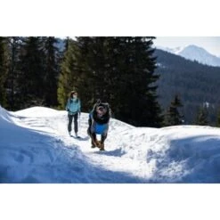 Ruffwear Powder Hound™ Hundejacke Blau M -Hundebedarf Geschäft ad48c7824c4fa56ab99bf99fe279a07bb74f6278 1639789 de DE 5260aa3c176a0e9de27498c6464d58bee4c79182MEN6wd