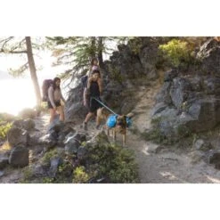 Ruffwear Approach™ Hunderucksack Blau M -Hundebedarf Geschäft adb6fe53f35c002880a11fdf955223282473e71e 1639823 de DE d58a64010d5b9dcf26c55b9da34cfb41fef50ac2cwioux