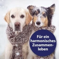 Canosept Home Comfort Beruhigungsspray Für Hunde 100 Ml -Hundebedarf Geschäft adccfc5a19c76ad9b128183d6445b9a0ce37b36d 1265539 de DE Canosept 2