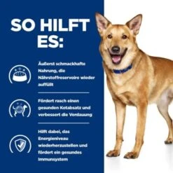 Hill's Prescription Diet Digestive Care I/d Mit Huhn 4 Kg -Hundebedarf Geschäft aec07d1c4537753428e8965c265de8b101de060f ae761794660977e7a486e614e12e339a678461f0
