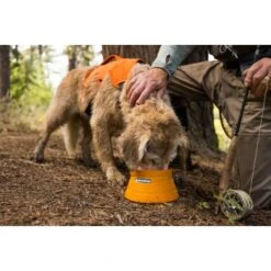 Ruffwear Bivy™ Faltbarer Napf -Hundebedarf Geschäft b21f85e12f046bba6b04285e99963c46170021f9 1651613 de DE 125ef372cbb05a1c89e3245701a5cdf0079102b6GpOPij