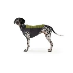 Ruffwear Climate Changer™ Fleece-Pullover Für Hunde Rot S 10 Ruffwear Climate Changer™ Fleece-Pullover Für Hunde Rot S -Hundebedarf Geschäft b28669818d8fcb81e0661ed639732808849f280a 1369661 de DE 64aaf340211e6364e47cd57e7a205b9b6074a78fHTZZhE