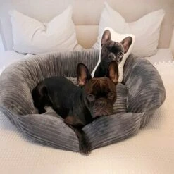 Wallace & Jones Hundebett Cordo Dunkelgrau S -Hundebedarf Geschäft b2a6809ea4cda92d483cec8a310d5506dd3e1034 1449005 de DE ca672695c629536ba83851f030e1af44afa2847927w0ii