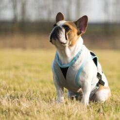 Trovet Suitical Kühlweste Dry Cool M 9 Trovet Suitical Kühlweste Dry Cool M -Hundebedarf Geschäft b32e0654ab987d26790de796cf13d2e54cbed73f 1321386 de DE Trovet suitical 6 Kopie