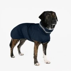 THE DOG IDEA Regenmantel Kayden Navy XXXS -Hundebedarf Geschäft b34fa31ccdc4617a61beca0e9885f8d1738e0e5d 1681323 de DE 4f609ef4877a48b367fd5a50d483a13a07b6ca7blJ2zsD