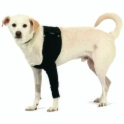 Trovet Suitical Recovery Sleeve XS -Hundebedarf Geschäft b58ab3631444989290504c9e8c261d0d2991ec11 90a2a34575ce9c04e66dc515c6b00a0ef65de1b0