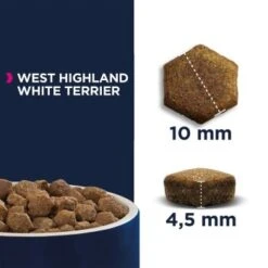 EUKANUBA Breed Specific West Highland White Terrier 2,5kg -Hundebedarf Geschäft b61eec98cbd21c988b77b36677f4116c18b57e2d 1fbba6259a52053ff1ef94dbbaa758ef537ef35c