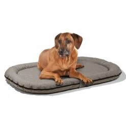MORE Liegekissen Supreme Braun M -Hundebedarf Geschäft b86d0b8d9e79b97a4ead2ff9dfcf89c520040e2b 3ebc0297eab893d931b40b7927d20e4df6388409